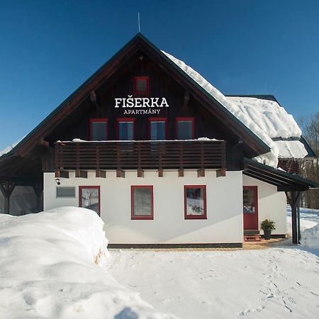 Apartmany Fiserka โรกีนีซ นัด ยีเซอโร ภายนอก รูปภาพ